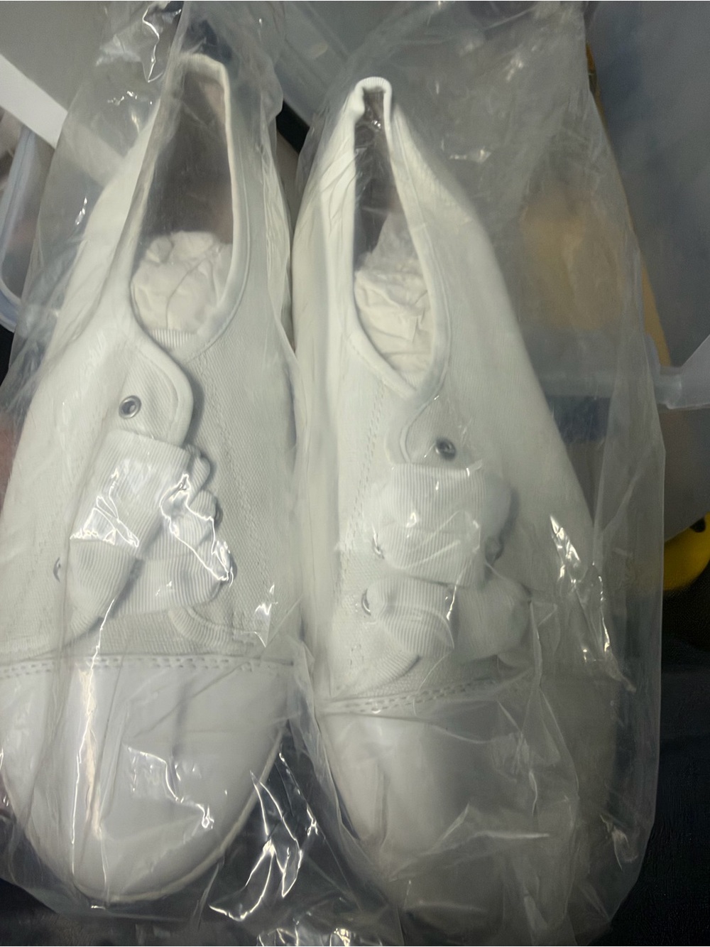 Talbots White Canvas Sneakers with Ribbon Laces